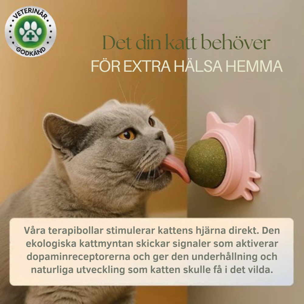 MjaoMint™ For din katts beste velmående 