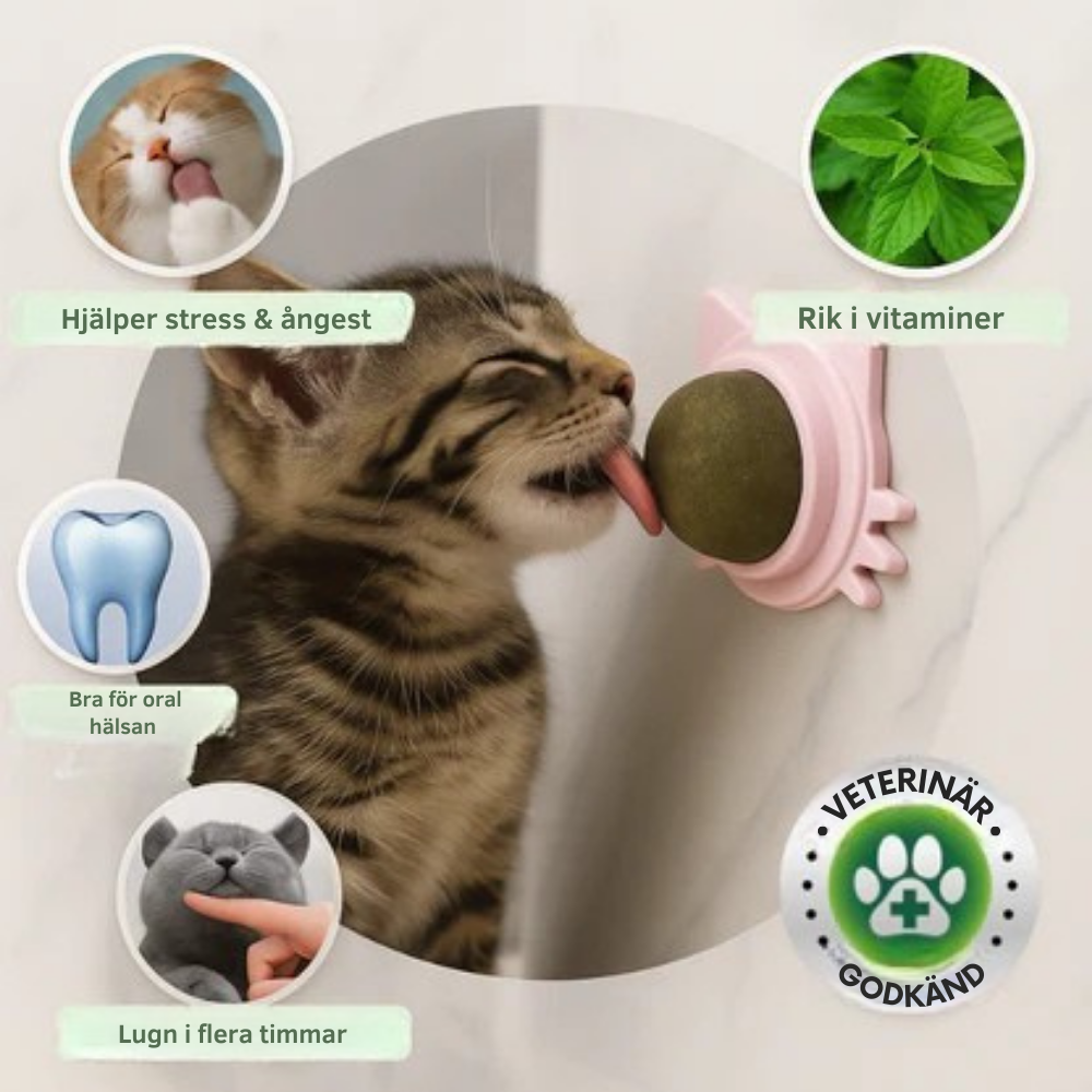 MjaoMint™ For din katts beste velmående 